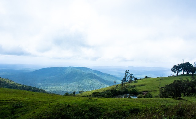 他地区提供 他地区提供